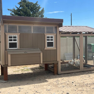 Chicken Coop